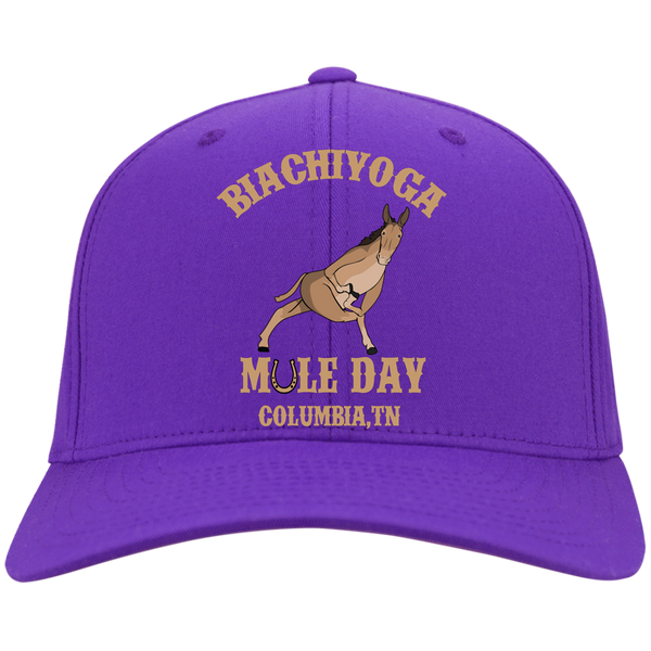 BiaChiYoga Mule Day Cap #1