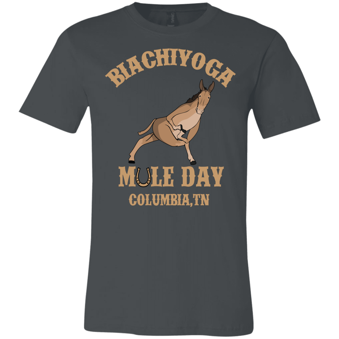 Mule Day - BiaChiYoga Twisted Prayer Lunge Tee