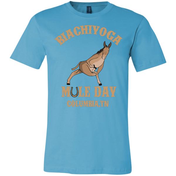 BiaChiYoga Mule Day Yoga Tee #1